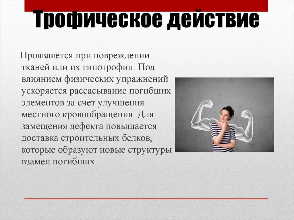 Человек проявляется в действии. Механизм трофического действия физических упражнений. Механизмы влияния физических упражнений на организм. Трофическое влияние это. Механизм тонизирующего влияния физических упражнений.