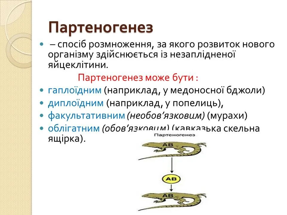 Образование спор партеногенез. Партеногенез размножение. Половое размножение партеногенез. Партеногенез у лягушки. Механизм партеногенеза.