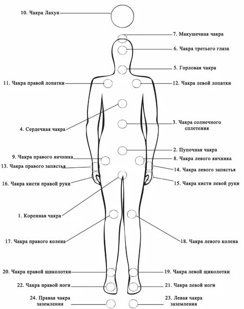 Психосоматика левая сторона у женщин. Энергетические центры человека схема расположения. Точки чакры на теле человека. Чакры по точкам. Чакры энергетические центры.