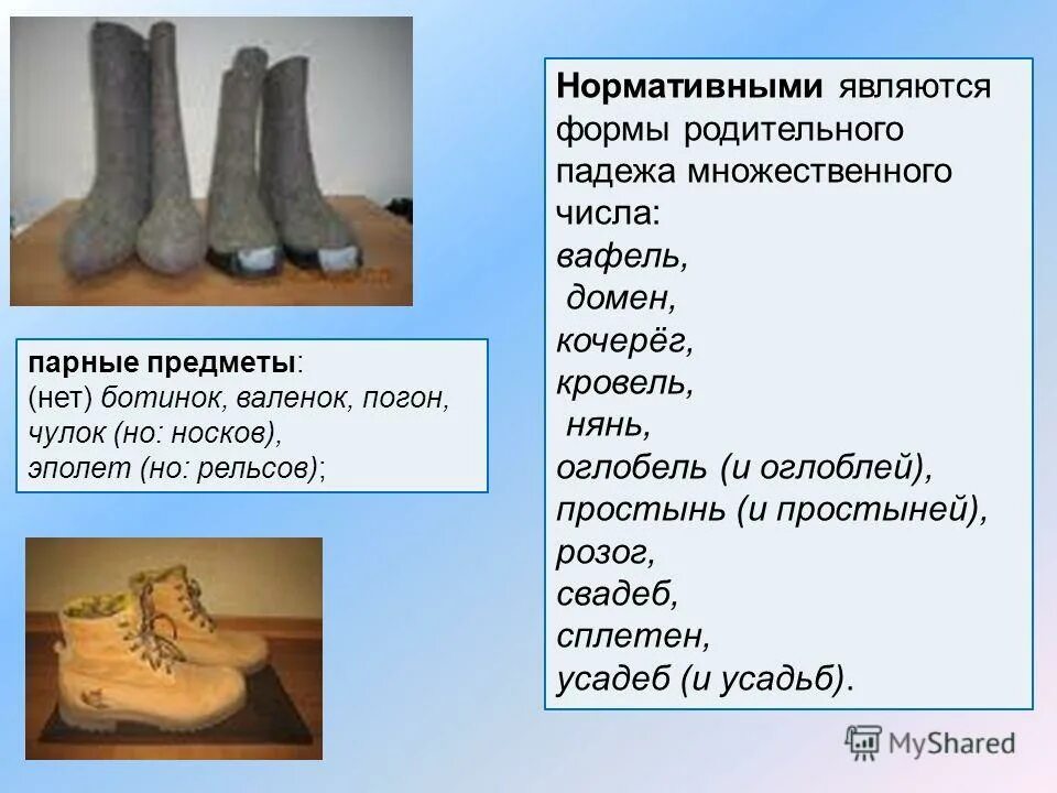 Форма родительного падежа множественного числа. Нормативными являются формы родительного падежа. Морфонологические нормы. Как правильно писать согласно. Форма родительного падежа множественного числа существительного.