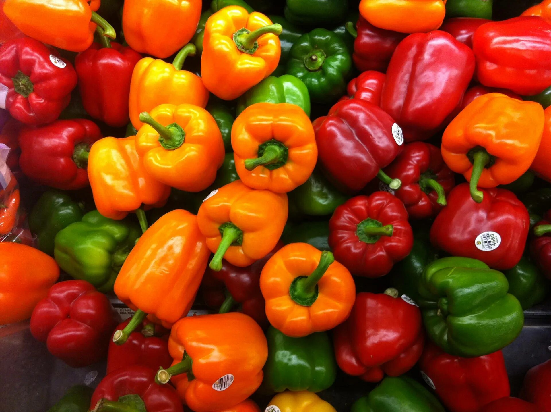 Capsicum. Болгарский сладкий перец. перец capsicum annuum. перец сладкий пасленовые. перец capsicum annuum сладкий.