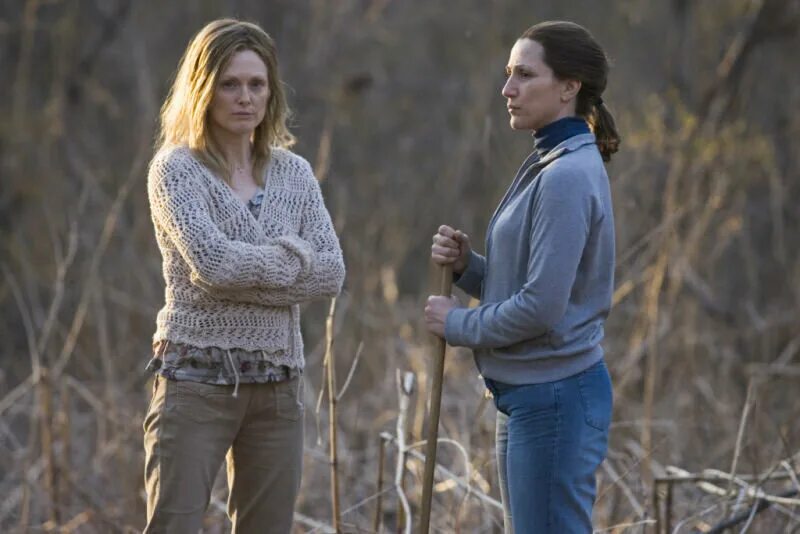 триллер обратная сторона правды. джулианна мур 1996. триллер обратная сторона правды. обратная сторона правды фильм 2006. истина фильм 2006.