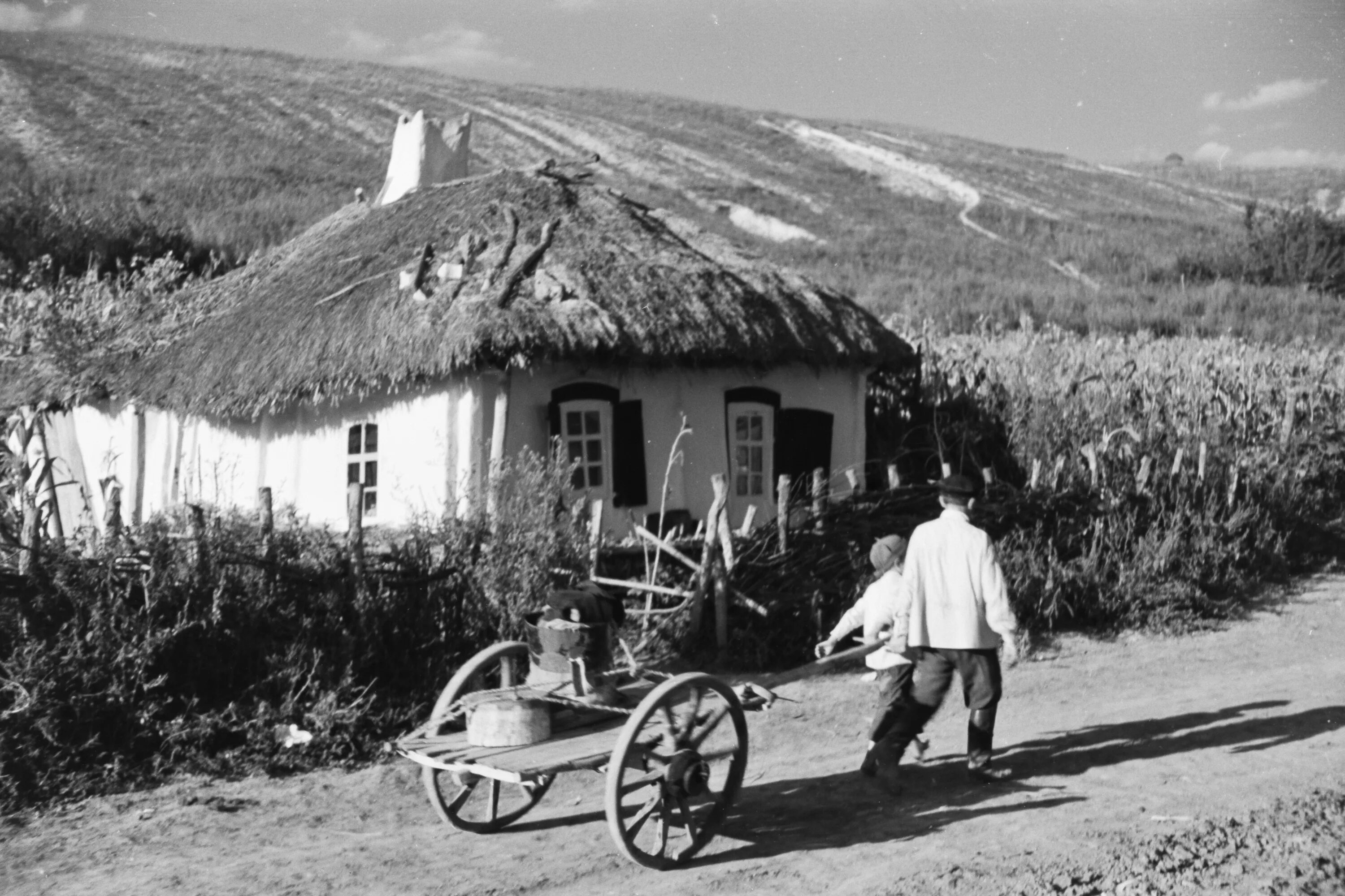 Хутор история названия. Мазанки Воронежская Губерния. Хаты крестьян Полтавской губернии 19 век. Хутора Белгородской области 19 век. Село Колтуновка Воронежской области.