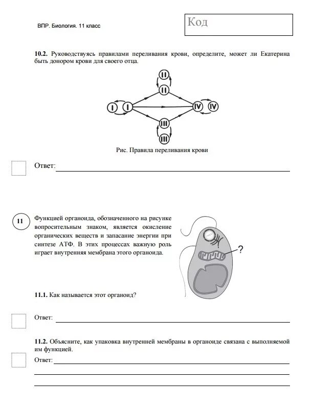 Демо впр ответы. Впр биология 5 класс вариант 2 2025. впр биология 11 класс вариант 1 ответы. впр биология 6 класс вариант 2 с ответами. ответы биология впр.