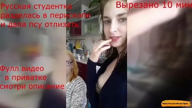 собака отлизывает перископ. собака лижет в перископе. собака лижет в прямом эфире. собака лижет в перископе. собака лижет в перископе.