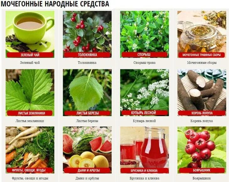 Что пить при отеках ног. Мочегонные продукты. Мочегонные средства. Мочегонное народное средство. Народные мачегонныемсредства.