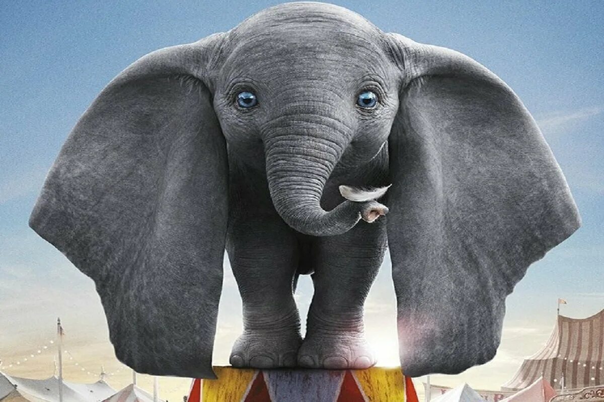Слоненок Дамбо. Дамбо ремейк. Слонёнок с большими ушами.