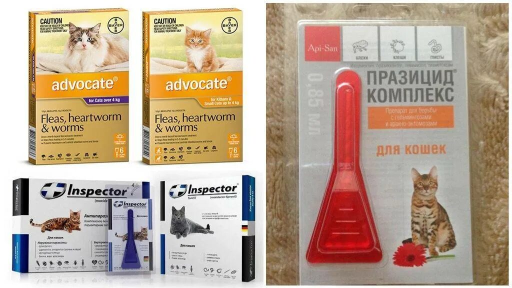 Препарат от блох для кошек на холку капли. Капли от паразитов коту. Празицид суспензия для котят. Препарат от глистов для кошек капли на холку. Капли от паразитов коту.