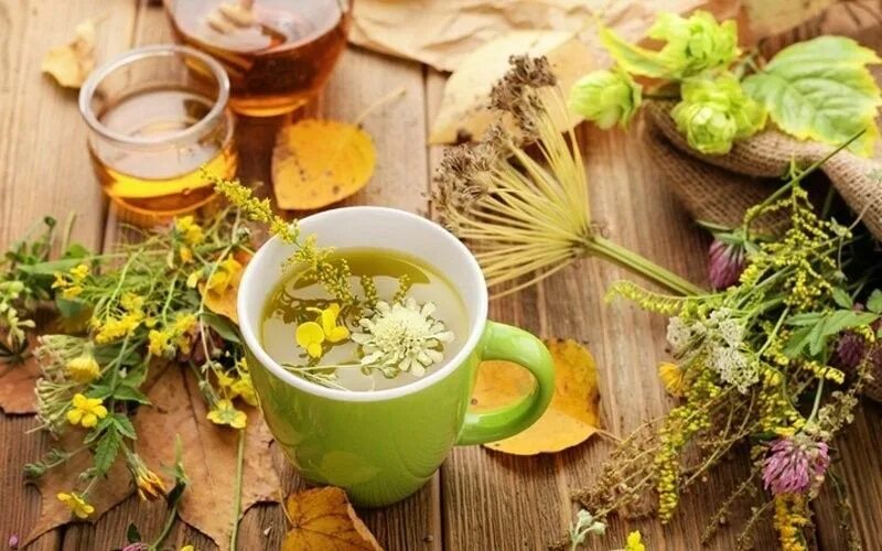Млеет травами. Млеет травами
