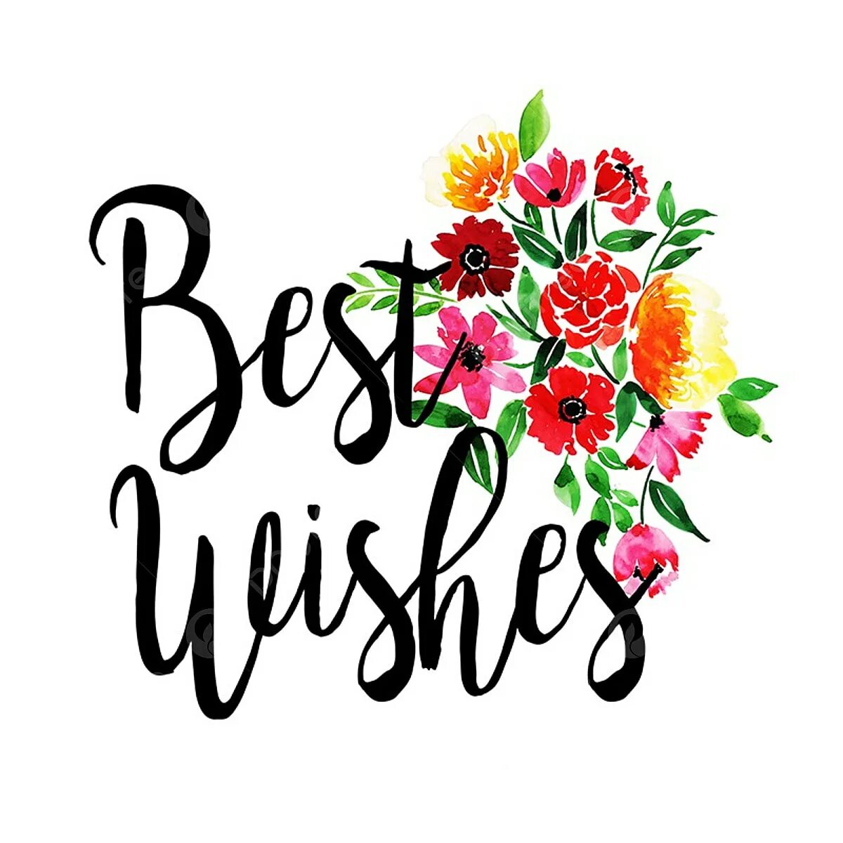 Best wishes. Best wishes на прозрачном фоне. Best wishes надпись. Best wishes. Открытка best wishes.