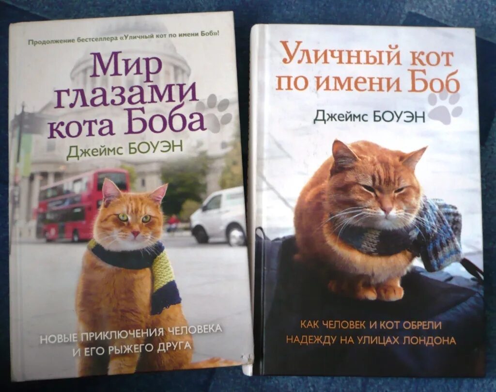 Книга про боба. Уличный кот по кличке Боб книга. Мир глазами кота Боба. Боуэн мир глазами кота Боба. Книга про рыжего кота Боба.