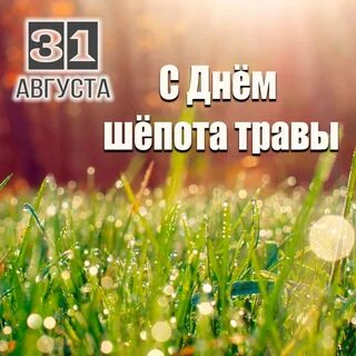 Последние добрые