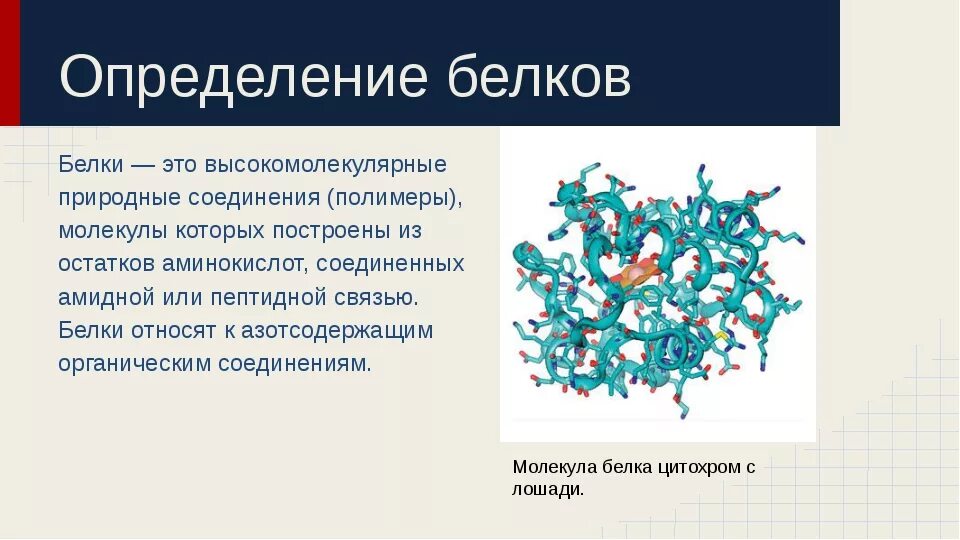 Белка реакт. Белки определение. Белки определение биология. Белок определение биология. Определение белка в биологии.