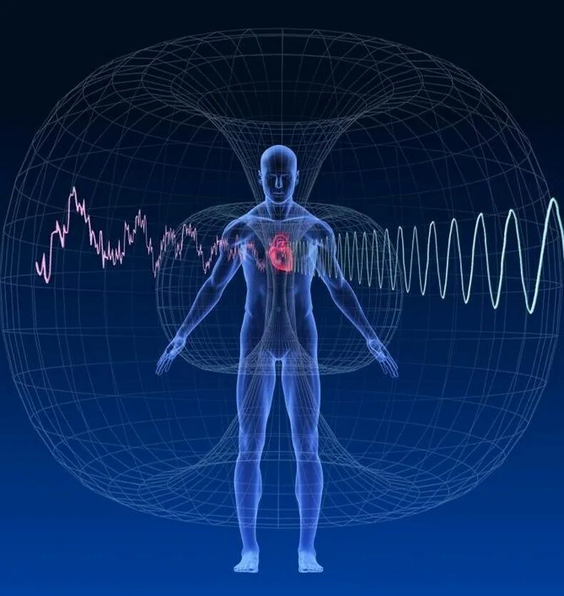 Электромагнитное поле человека. Электромагнитное излучение на человека. Магнитное поле человека. Электромагнитное поле человека и земли.