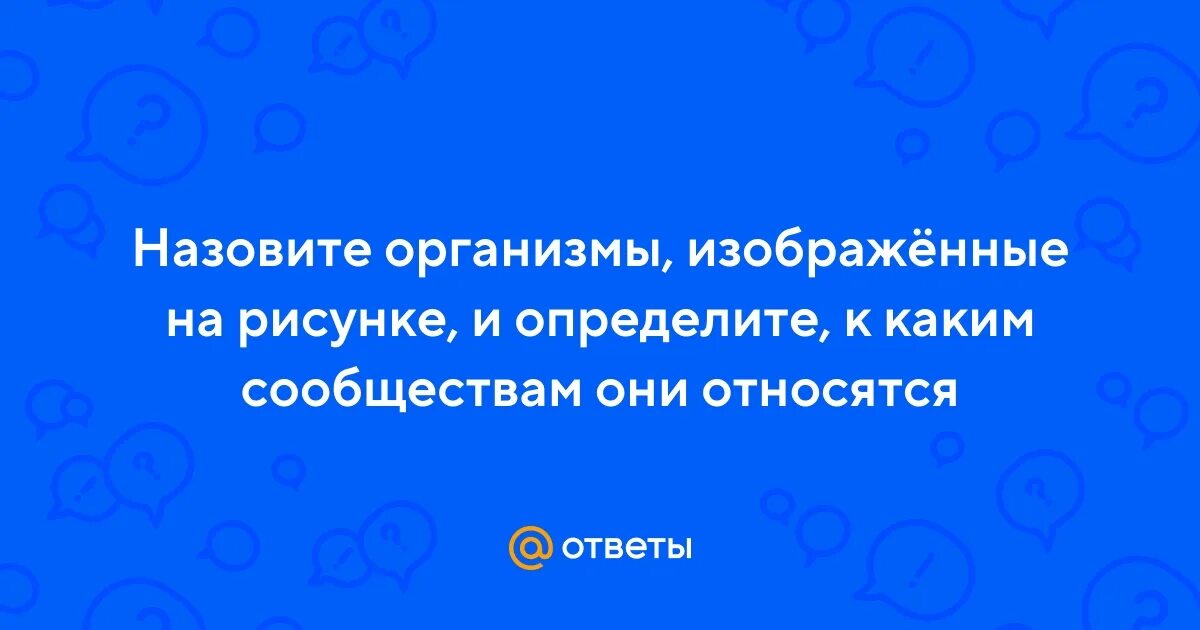 Назови организм. Строение органов человека. Как устроен организм. Назови организм. Назови организм.
