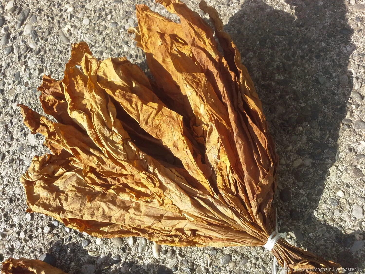 Сухие листья купить. Табак сушеный Берли. Табачный лист сушеный. Сухие листья табака. Листья табака сушеные.