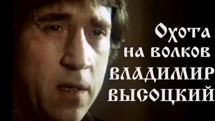 Идёт охота на Волков Высоцкий слушать. Авторская песня Высоцкого охота на Волков. Идет охота высоцкий слушать