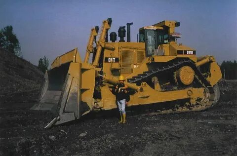 D 11 r