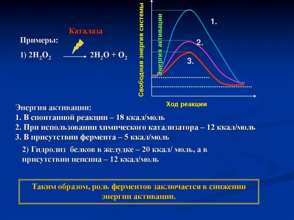 Энергия активации реакции катализатора. Энергия активации ферментативной реакции. Снижение энергии активации ферментами. Ферменты снижают энергию активации. Реакция активации снижена