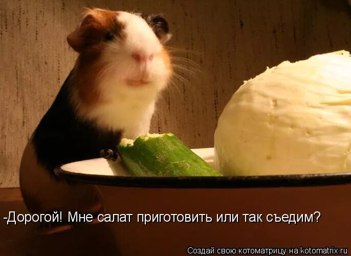 Так съешь его. Так съешь его