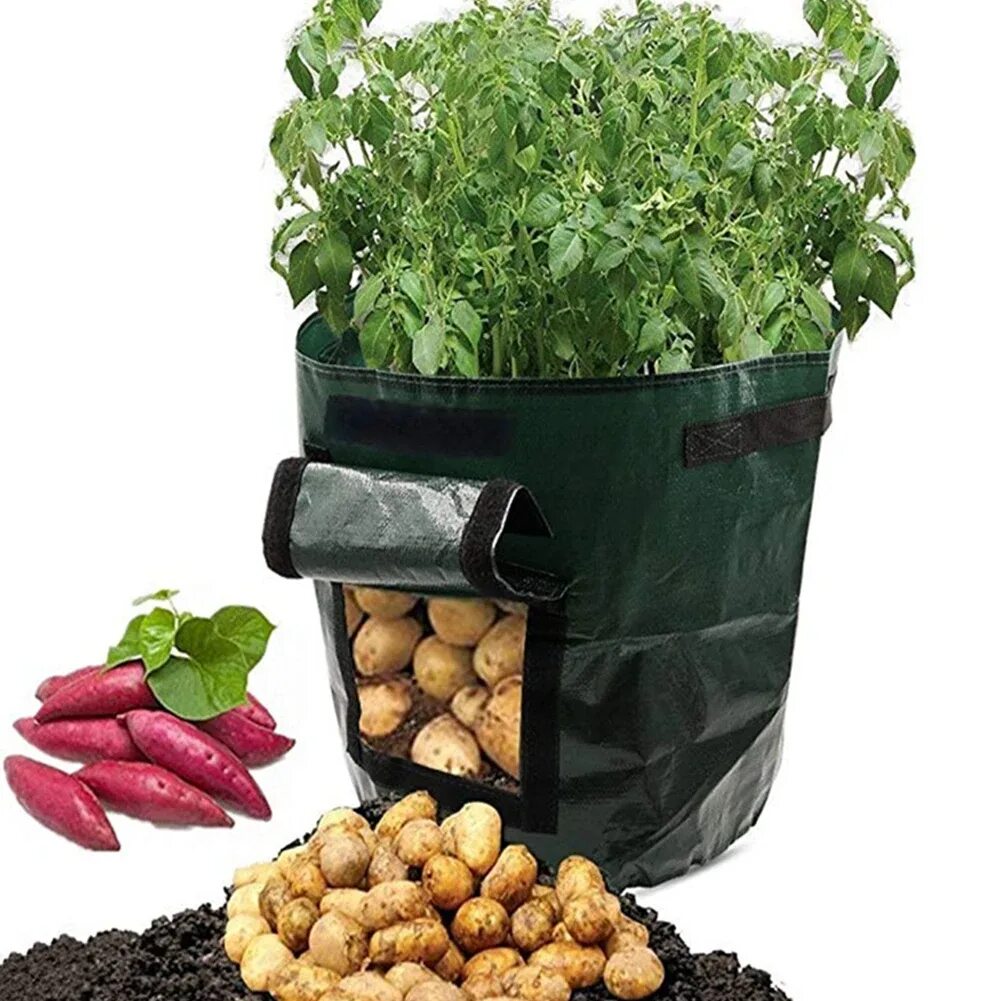 Посадка картошки в домашних условиях. Емкости для посадки растений. Мешки для посадки растений. Мешок картошки. Мешок горшок для картошки.