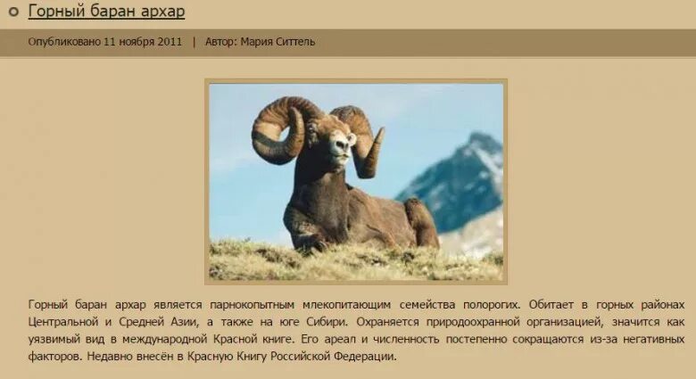 архар алтайский горный баран. горный баран сканворд 5. баран толсторог. бигорн баран. горный баран сканворд 5.