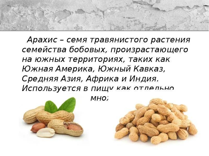 Арахис польза для здоровья. Арахис презентация. Арахис характеристика. Полезные вещества в арахисе. Арахис семейство бобовых.