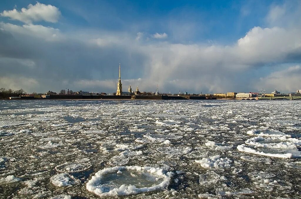 Ледоход на неве 2024