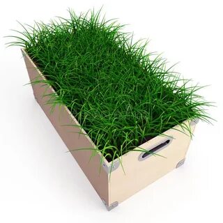 Ящики grass