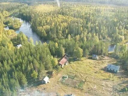 Кепино архангельской