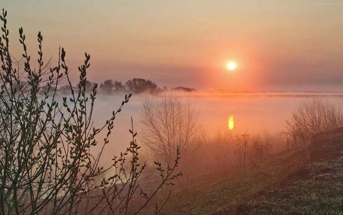 Ф.К Сологуб Забелелся туман над рекой. Природа рассвет. Весенний рассвет. Рассвет ранней весной.