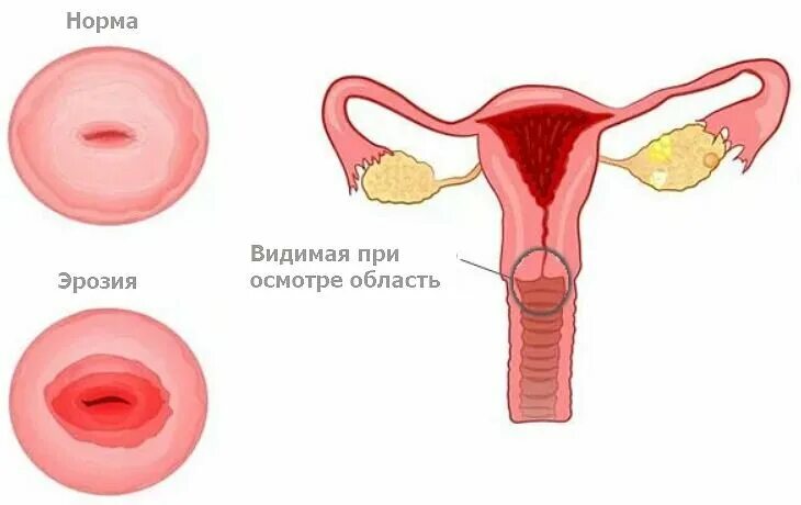 Во сколько можно заниматься интимной