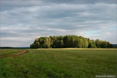 Ока лес