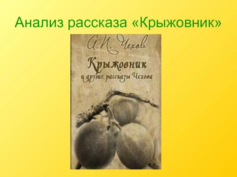 Крыжовник краткое описание. Крыжовник чехов проблематика. Урок по рассказу крыжовник. Главный герой рассказа крыжовник. Урок по рассказу крыжовник.