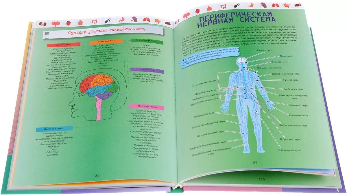 Книга тело мозг. Большая энциклопедия. Тело человека д. в. Кошевар книга. Тело человека (детская энциклопедия) 17352. Энциклопедия о теле человека. Человек. Энциклопедия.