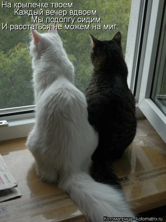 на крылечке твоем.