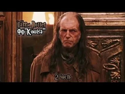 Домашняя кошка аргуса филча