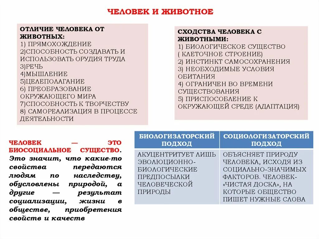 Различие человек и животное социальные