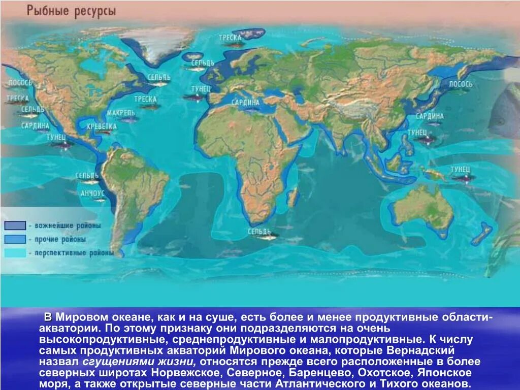 Ресурсы воды мирового океана. Ресурсы мирового океана. Ресурсы мирового океана биологические ресурсы. Карта мирового океана. Биологические богатства мирового океана.