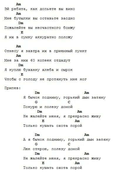 Бомж сектор газа аккорды для гитары. Бомж слова сектор газа слова. Сектор газа бомж текст аккорды. Песня бомж сектор газа текст. Песня я копаюсь на помойке как червяк