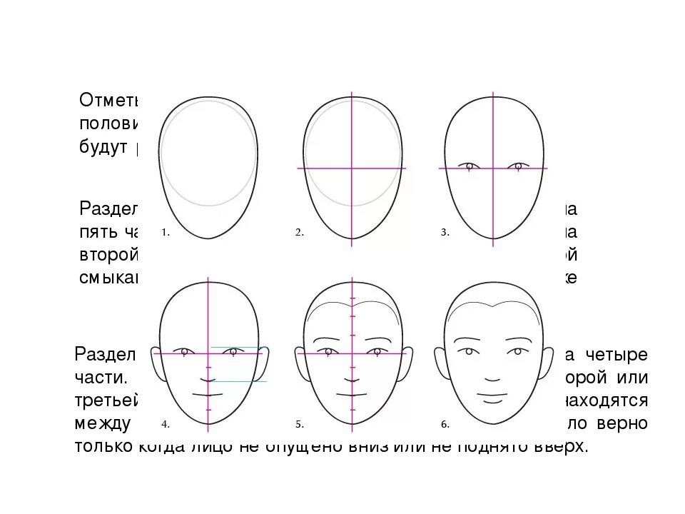 Поэтапное рисование портрета 3 класс презентация. Схема рисования портрета. Пошаговое рисование лица. Лицо человека схема. Построение лица человека схема.