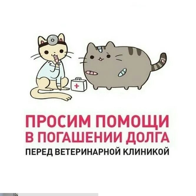 Просим помочь. Помогите погасить долг в клинкие. Помогите оплатить долг в клинике. Помогите оплатить долг в ветклинике. Помогите погасить долг в клинике.