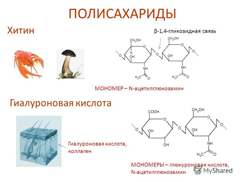 Связь 4 гликозидная