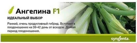 Сибирский сад екатеринбург