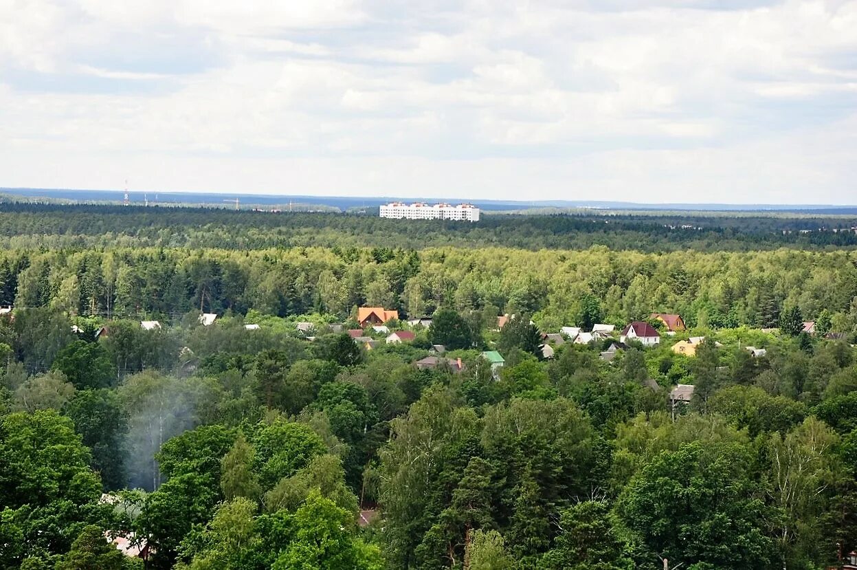 Одинцовский район лесной городок фото YugNash.ru