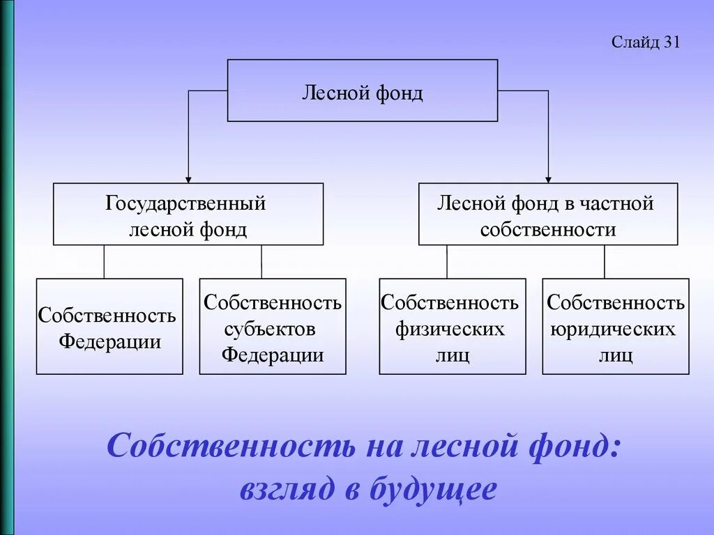 Земля какая форма собственности. Формы собственности на леса. Виды собственности леса. Формы собственности на Лесные участки. Право собственности на леса.