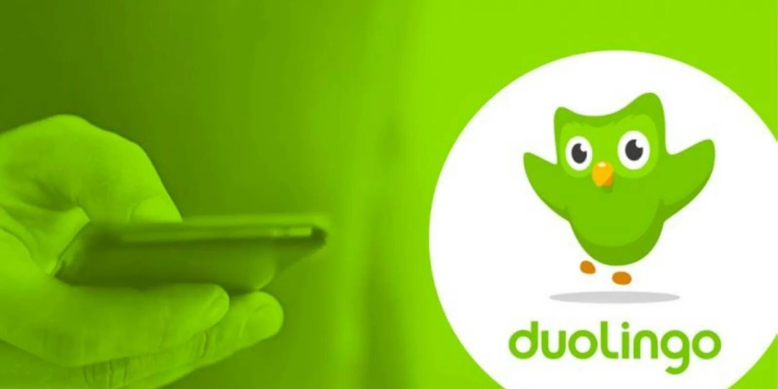 Логотип дуолинго. Дуолинго. duolingo лого. duolingo напоминание. сова дуолинго.