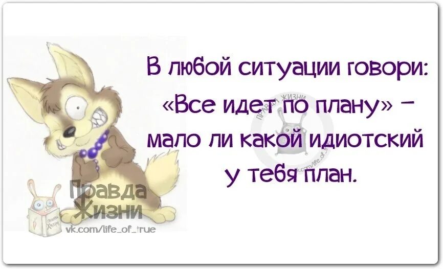 В любой ситуации говори. Правда жизни. Правда жизни картинки с надписями. В любой ситуации говори все идет по плану.