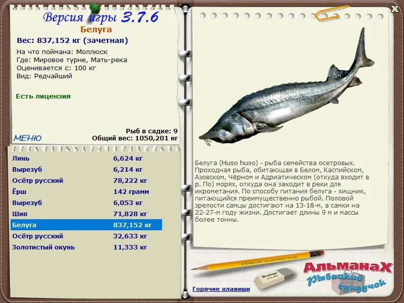 самое тяжелое животное на земле. ротан рыба большой. вес может достигать. сколько весит кит. 7.