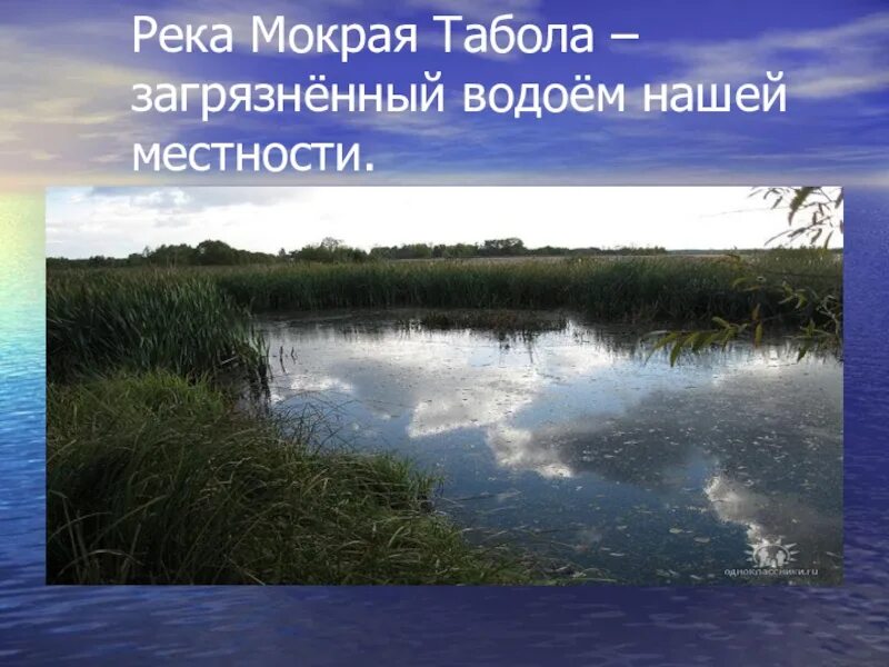 Какие воды находятся в вашей местности. Водоемы нашей местности. Какие водоемы есть в нашей местности. Водные объекты нашей местности. Водоёмы нашеи местности.